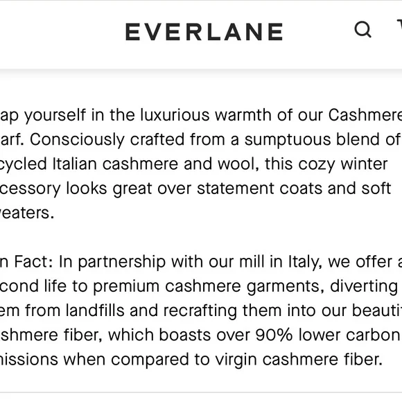 Everlane Cashmere Scarf - Black - Picture 5 of 5